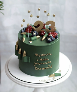 Торт на 23 февраля №12