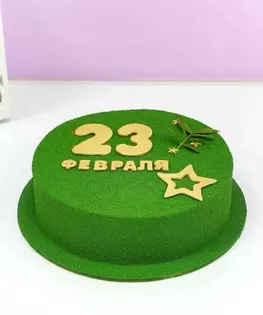 Торт на 23 февраля в велюре